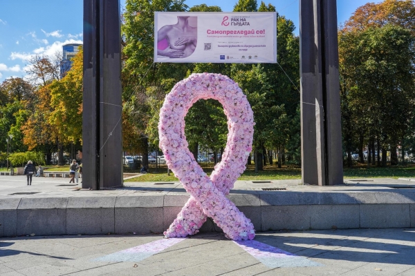 Розова арт инсталация