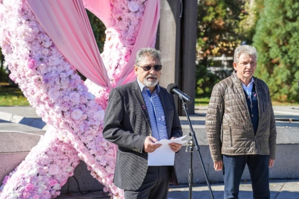 Розова арт инсталация 61