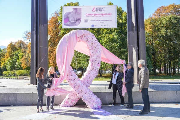 Розова арт инсталация 60